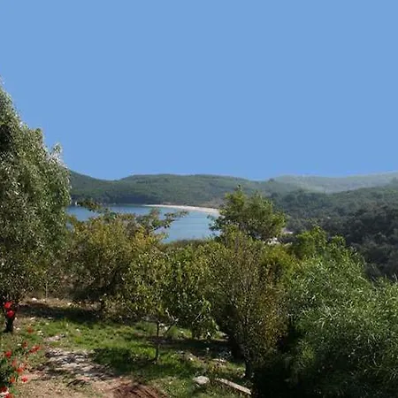 Cochelli Kassiopi