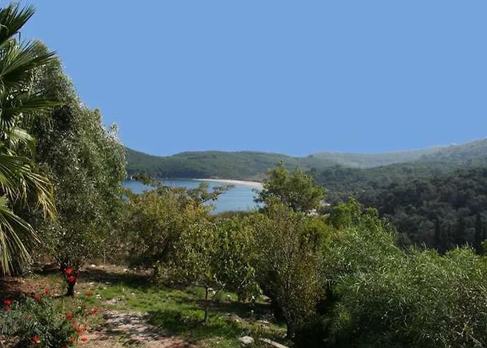 Cochelli Κασσιόπη