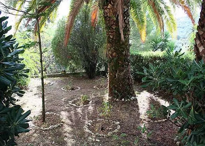 Cochelli