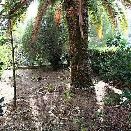 Cochelli